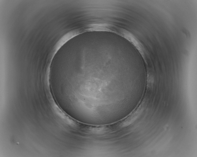 X0000111481386200907141208