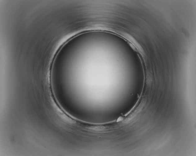 X0000111481388200907141208