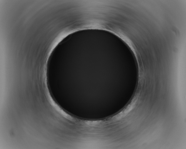 X0000111481389200907141208