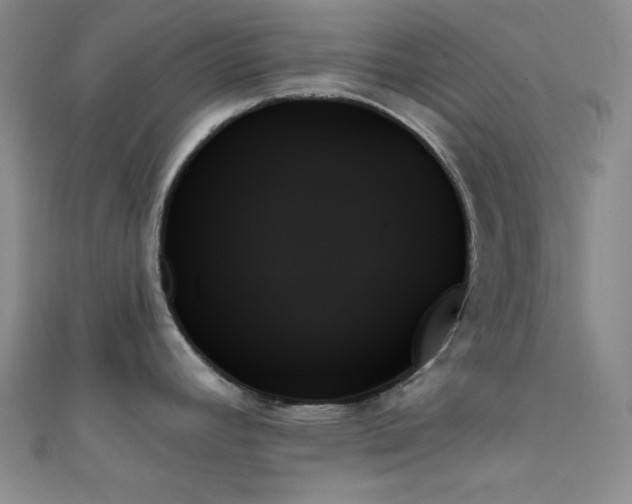 X0000111481392200907141208