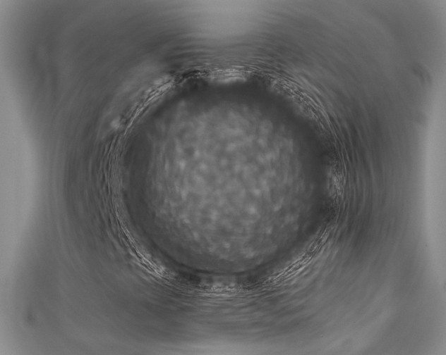 X0000111481393200907141208