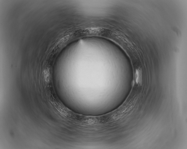 X0000111481395200907141208