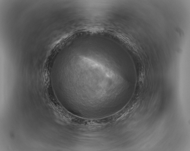 X0000111481398200907141208