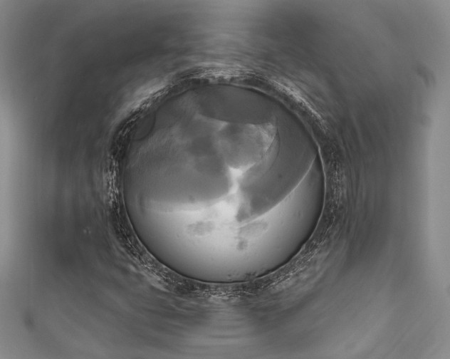 X0000111481399200907141208