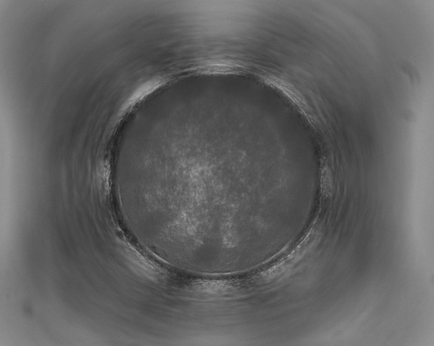X0000111481402200907141208