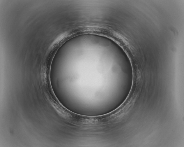 X0000111481403200907141208