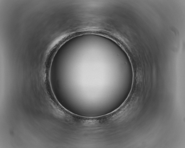 X0000111481406200907141208