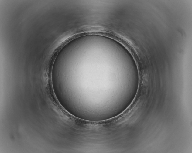 X0000111481407200907141208
