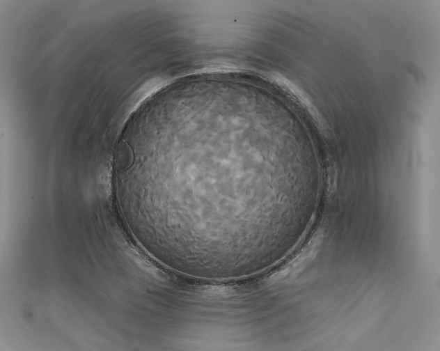 X0000111481409200907141208