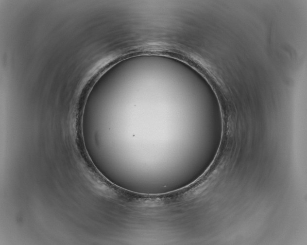 X0000111481410200907141208