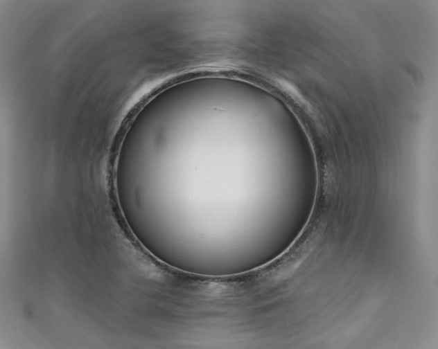 X0000111481412200907141208