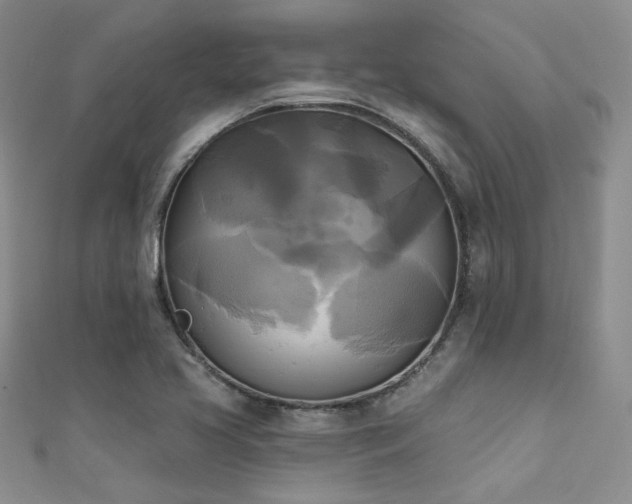 X0000111481413200907141208