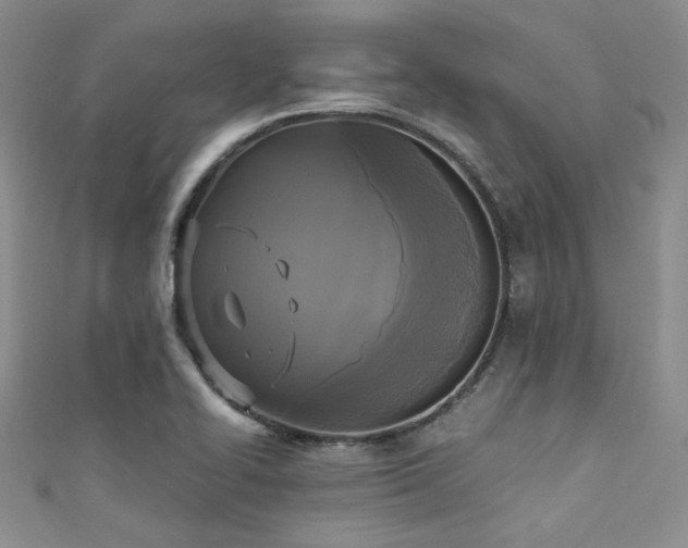 X0000111481414200907141208