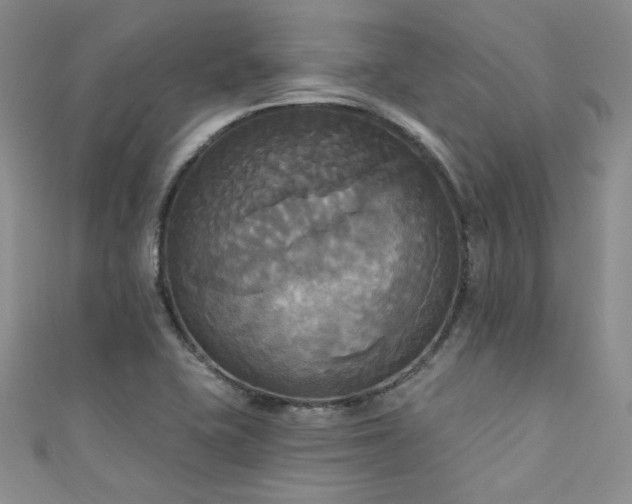 X0000111481415200907141208