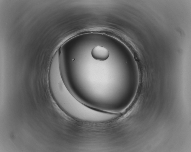 X0000111481417200907141208