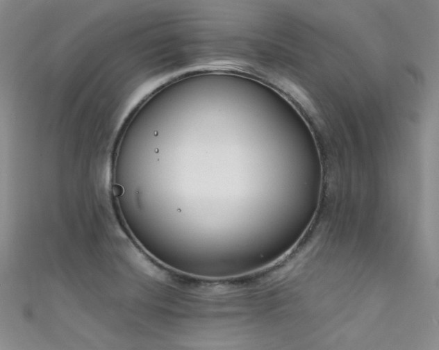 X0000111481420200907141208