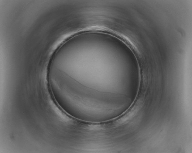 X0000111481422200907141208