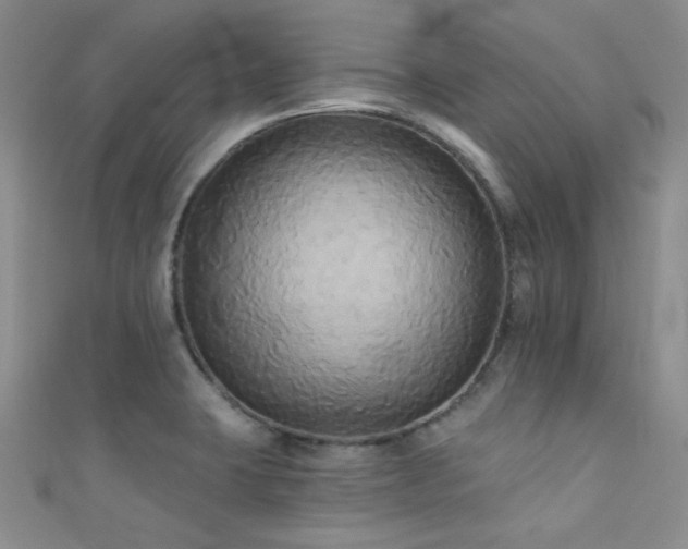 X0000111481423200907141208