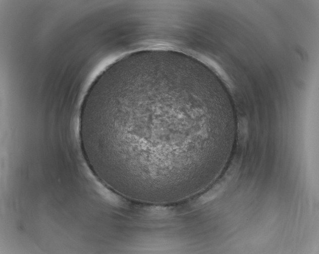 X0000111481424200907141208