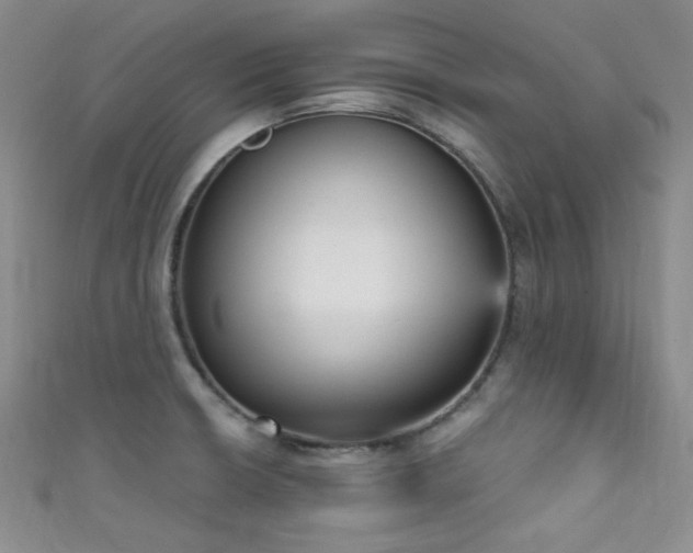 X0000111481426200907141208