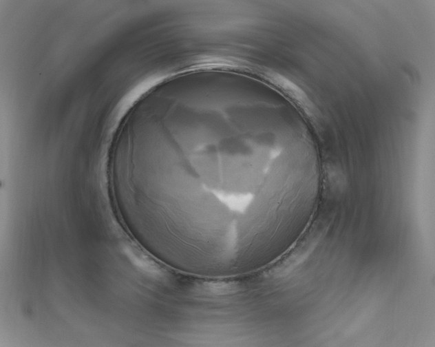 X0000111481427200907141208