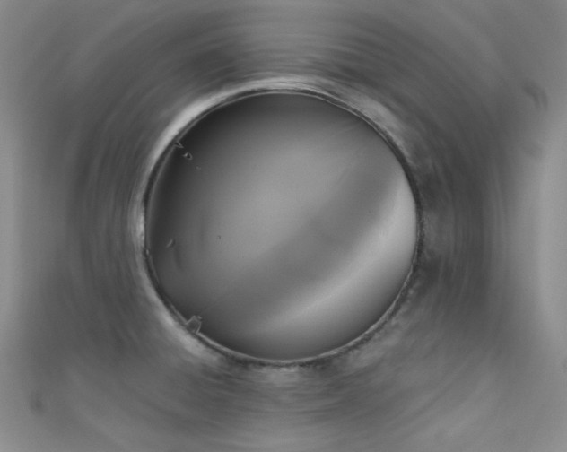 X0000111481428200907141208