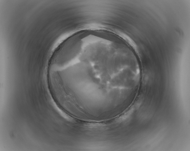 X0000111481429200907141208