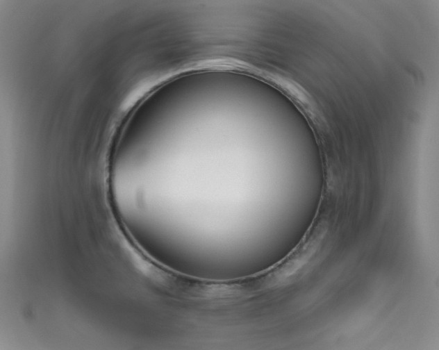 X0000111481430200907141208