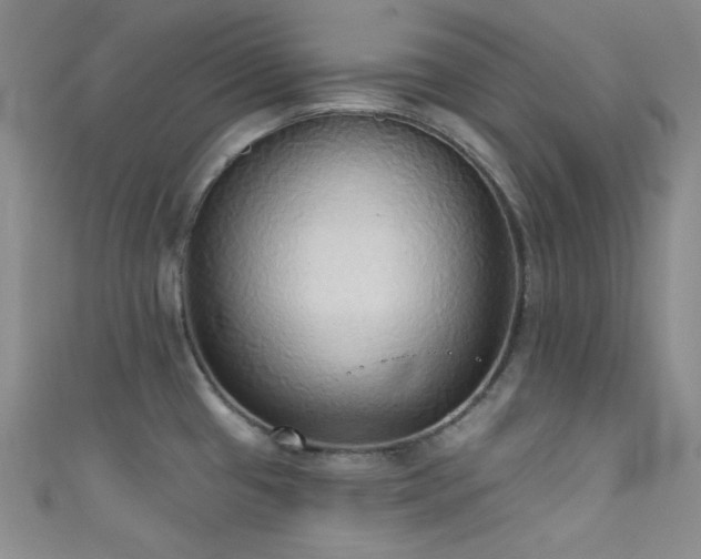 X0000111481433200907141208