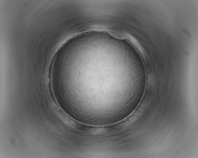 X0000111481435200907141208