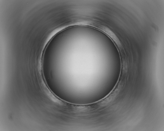 X0000111481436200907141208