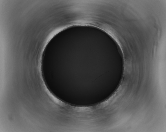X0000111481437200907141208