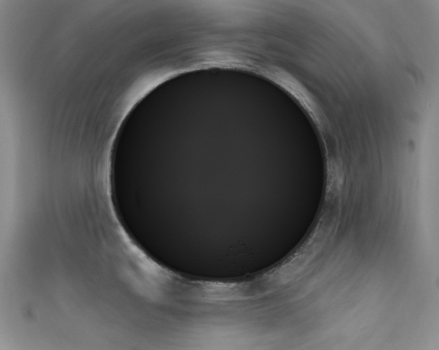 X0000111481439200907141208