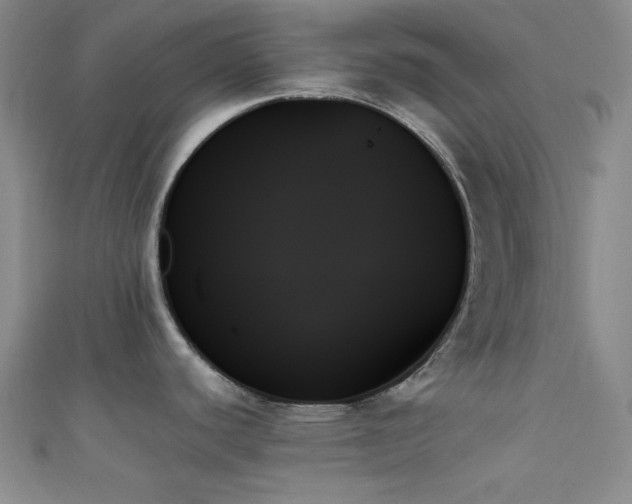 X0000111481440200907141208