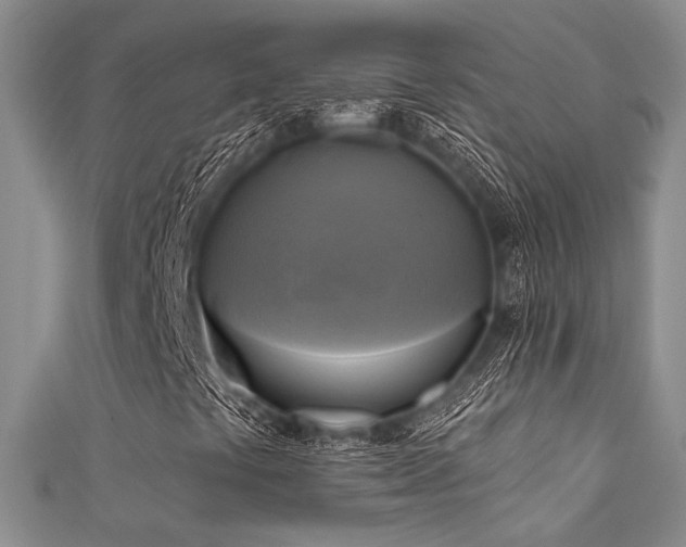 X0000111481441200907141208