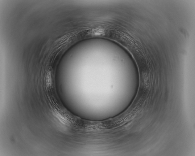 X0000111481442200907141208