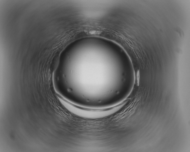 X0000111481443200907141207