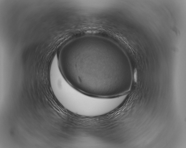 X0000111481444200907141207