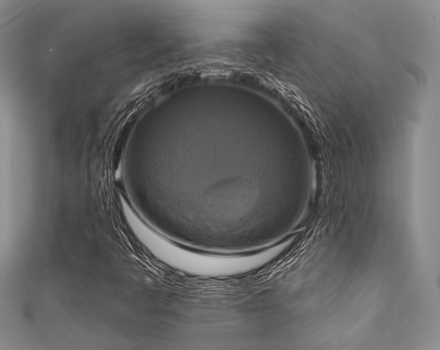 X0000111481445200907141207