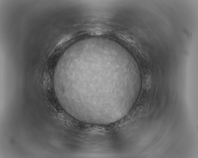 X0000111481446200907141207
