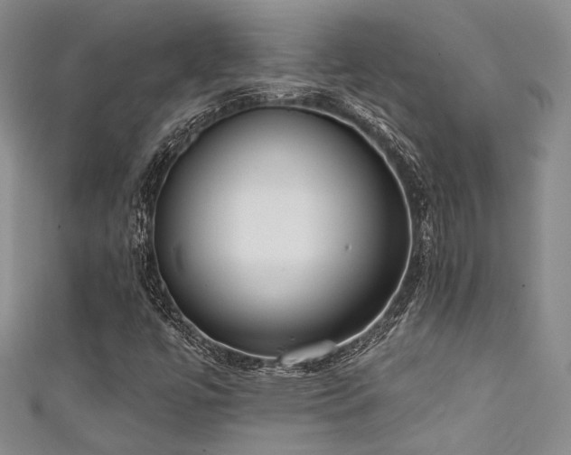 X0000111481447200907141207