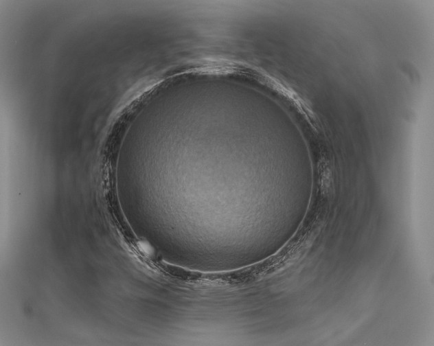 X0000111481448200907141207