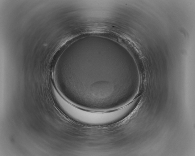 X0000111481449200907141207