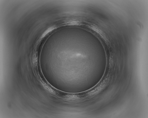 X0000111481450200907141207