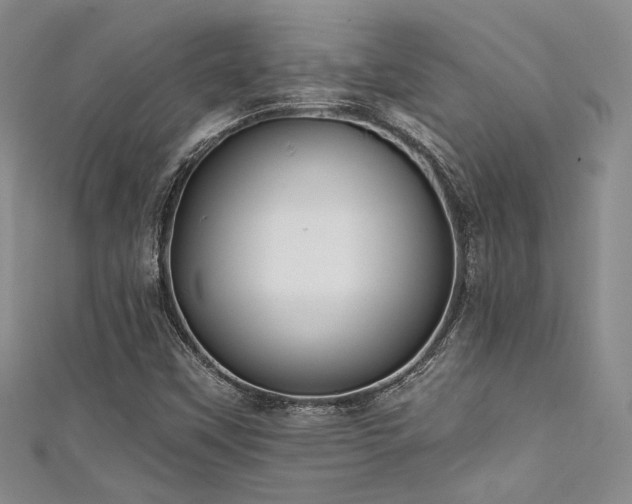 X0000111481451200907141207