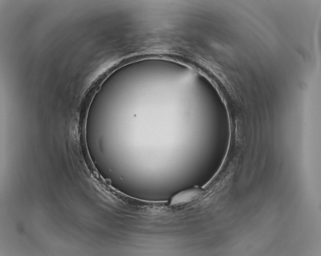 X0000111481452200907141207