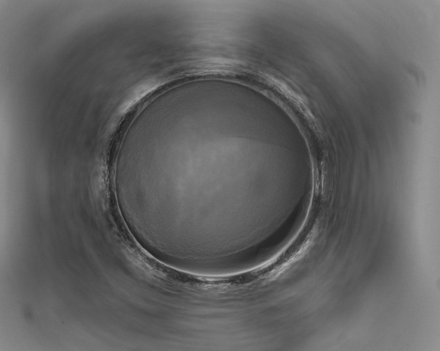 X0000111481453200907141207