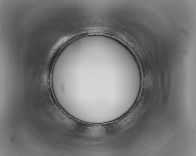 X0000111481454200907141207