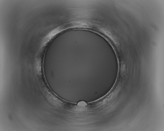 X0000111481455200907141207