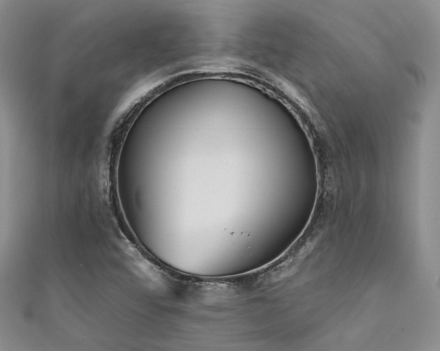 X0000111481456200907141207